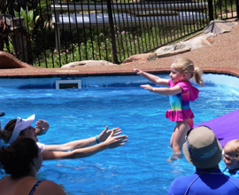 Rainbow Swim Therapy